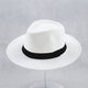 Men’s Summer Fedora Hat | Wide Brim