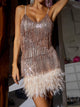 Women’s Fringe Feather Dress | Mini