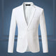 Men’s Slim Fit Blazer | Formal
