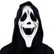 Adult Halloween Ghost Face Mask | Cosplay Accessory