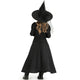 Women’s Witch Costume Dress | Maxi