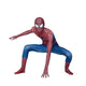 Men's Halloween Costume | Superhero Bodysuit