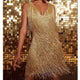 Women’s Fringe Party Dress | Mini